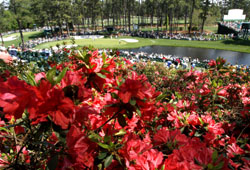 Augusta_2