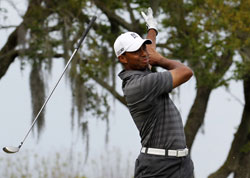 Woods-Tiger
