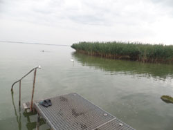 HU-Balaton-Imp4