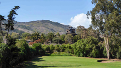 Chile Cachagua