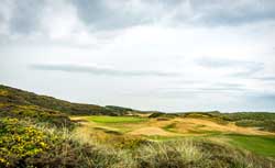 GB MurcarLinks 250