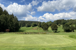 Nem Postwirt golf