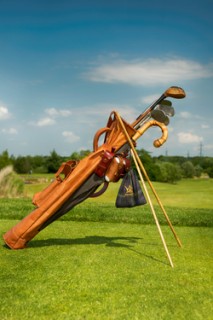 Matinka-hickory-sada-250