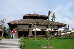 vit-buginy-povin-250