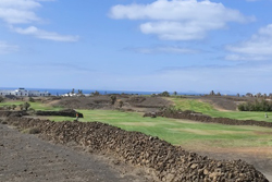 lanzarote-greeny-250