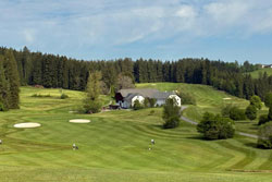 rak GC-Sterngart 250l