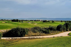 ita-sandomenico-2-250