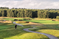 modry-las-pohled-250