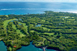 mau-belle-legend-250