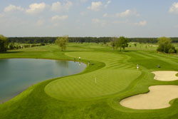 Föhrenwald-golf-250